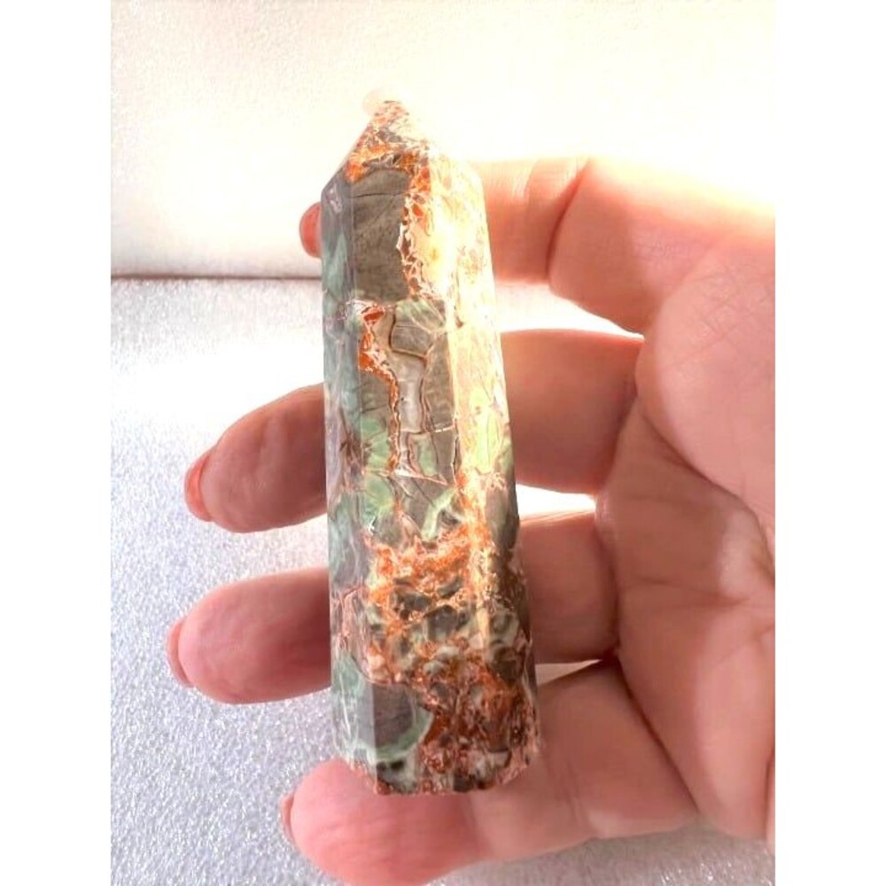 Money Agate Point - Picture 5 of 8